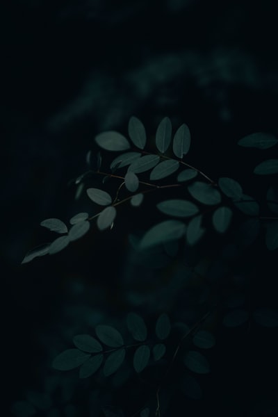 图聚科技